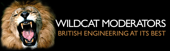 Wildcat (2)